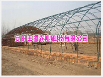 花卉大棚 廠家、種植價(jià)格與成本詳解