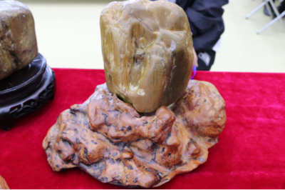 石韻煤魂，魅力海倫——首屆奇石文化旅游節盛大開幕，焦炭產業與文化盛宴交相輝映